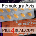 Femalegra Avis 43